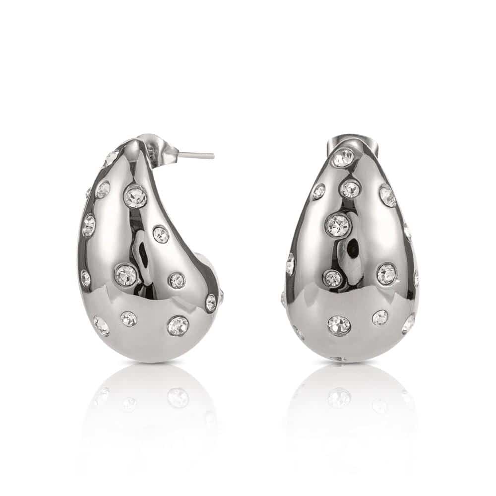 Silver  Drop Earrings